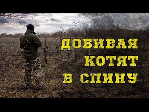 Видео: Знакомства с кем-то с ПТСР: депрессия, беспокойство и многое другое