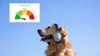 Playlist- Low Cortisol- 2016
