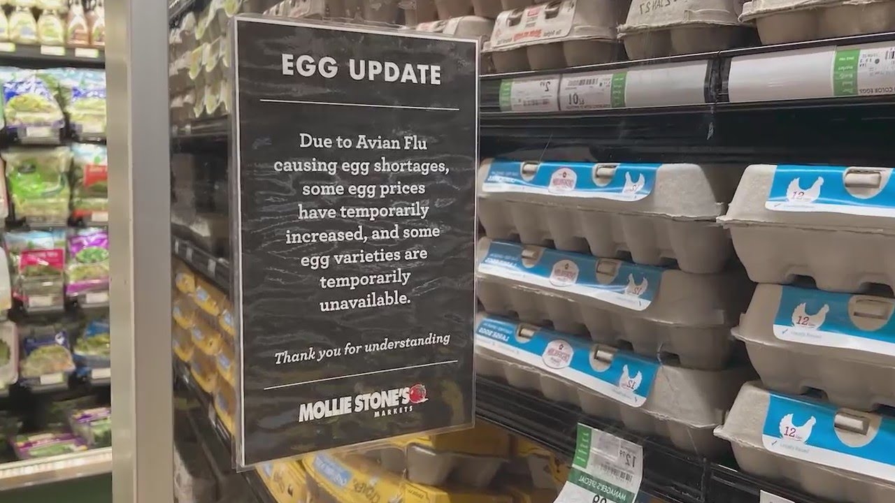 Egg prices skyrocket due to shortage caused by avian flu - YouTube