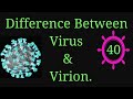 Virus  virion virus viruses microbiology microbes infection shortsfeed  entemicrobialworld
