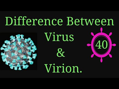 Difference between Virus & Virion.Definition &  Structure Of Virus & Virion.# EnteMicrobialWorld,VBS