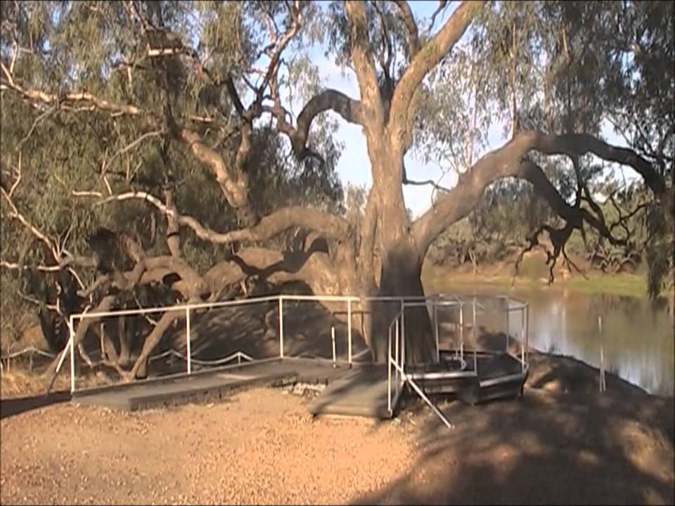 burke wills dig tree COOPER RIVER - YouTube