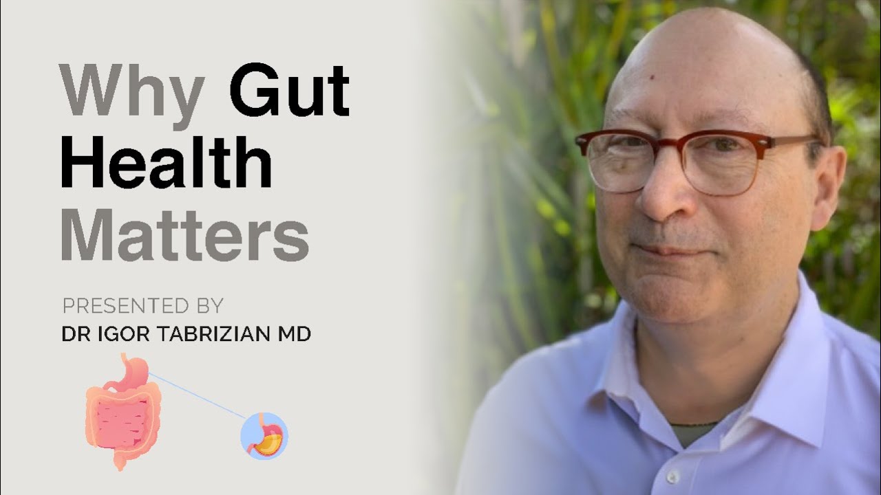 🌿 The Gut: Introduction to Gut Health | Why Gut Health Matters 🧬 - YouTube