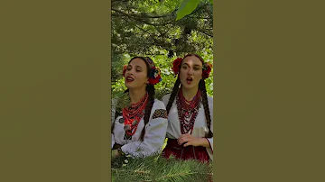 Українська народна пісня Горіла сосна палала Юстина і Соломія Халавко TikTok Khalavko Sis 