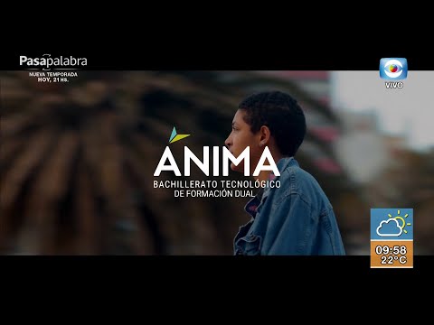 Ánima