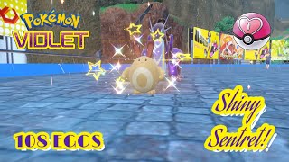✨Pokémon Violet: SHINY LOVE BALL SENTRET VIA THE MASUDA METHOD (108 EGGS)!✨