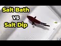 Help Your Sick Betta Fish With Salt Treatment