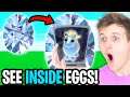 Can We Reveal X-RAY VISION To SEE WHAT PET Is INSIDE YOUR EGG In Adopt Me!? (NEW ADOPT ME UPDATE!?)