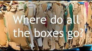 What happens to recycled cardboard boxes?