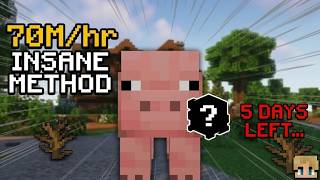 70Mhr Insane Money Method Ending Soon Hypixel Skyblock