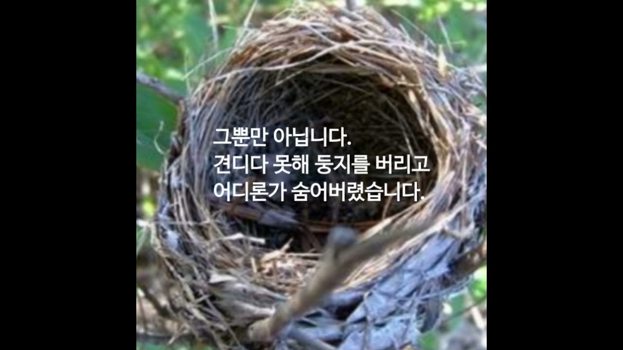 겨울바람 이야기