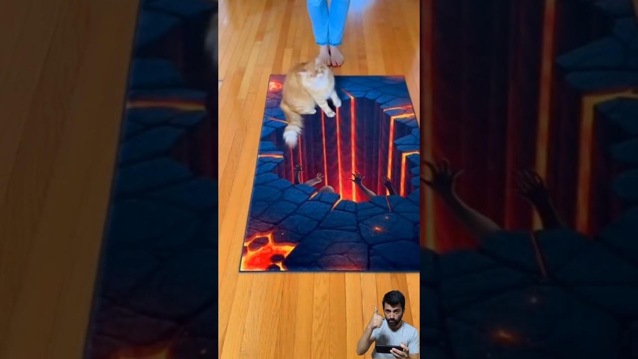 Ковер с 3D-оптической иллюзией сбивает с толку собаку, но не кошку! 😂 