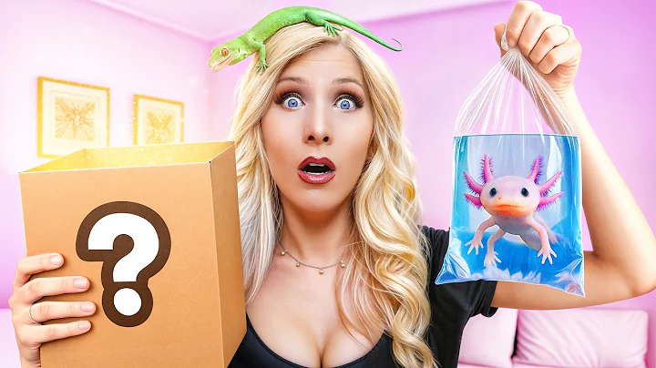 I Bought the World's Strangest Mystery Boxes!