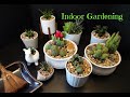 Indoor Gardening - Repotting My Cactus and Succulent Plants