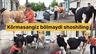 Begzojon bugun yana trendda Yashavor 