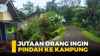 Jutaan Orang Ingin Pindah Ke Desa Menikmati Suasana Keindahan Kampung Jogja di Cilacap Jawa Tengah