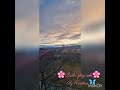 Vodjena meditacija- Alergije, problema sa disanjem #meditacije #afirmacije #disanje #ljubavpremasebi