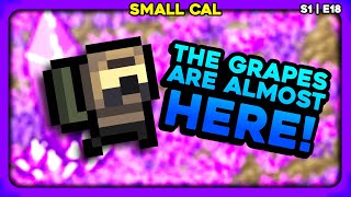Finding The Crystal And Finally Summoning The GRAPES! - ZERO Sievert SMALL CAL ONLY | S1E18