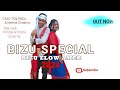 Bizu  elow amer  chakma music  2024  raj babu meena  indrolal  robina  bizu special