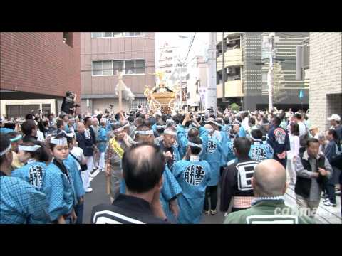 平成27年 鳥越神社例大祭（鳥越祭） 本社神輿渡御 東三筋