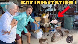 RAT INFESTATION AT MY GRANDMAS HOUSE ! WHAT NOW ?!