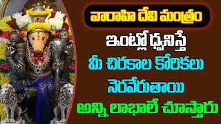 Varahi devi mantra chanted at home will fulfill your long wishes and all benefits will be seen #varahi