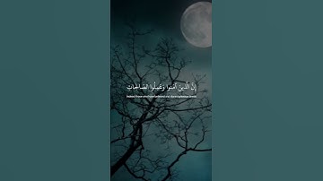 وَكُلُّهُمْ آتِيهِ يَوْمَ الْقِيَامَةِ فَرْدًا (95)/سورة مريم#اكسبلور#الرحمن#المصحف#like