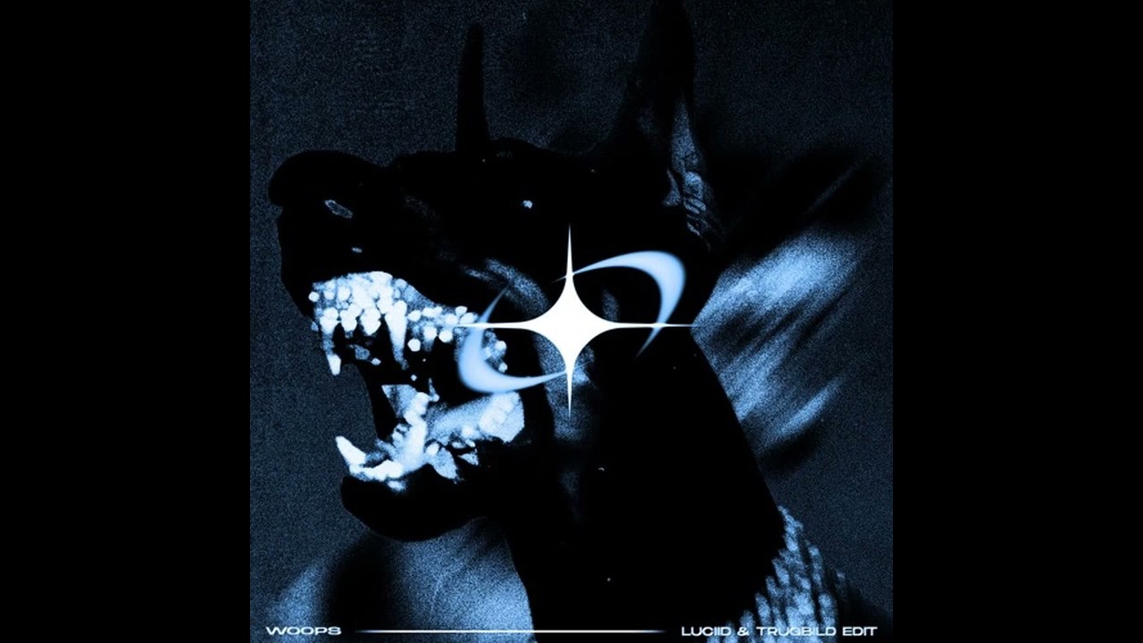 Download Dj Bountyhunter - Woops (Luciid & Trugbild Edit) [Hard Techno/Schranz] MP3