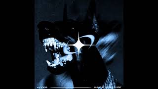 Dj Bountyhunter  Woops luciid U0026 Trugbild Edit hard Technoschranz