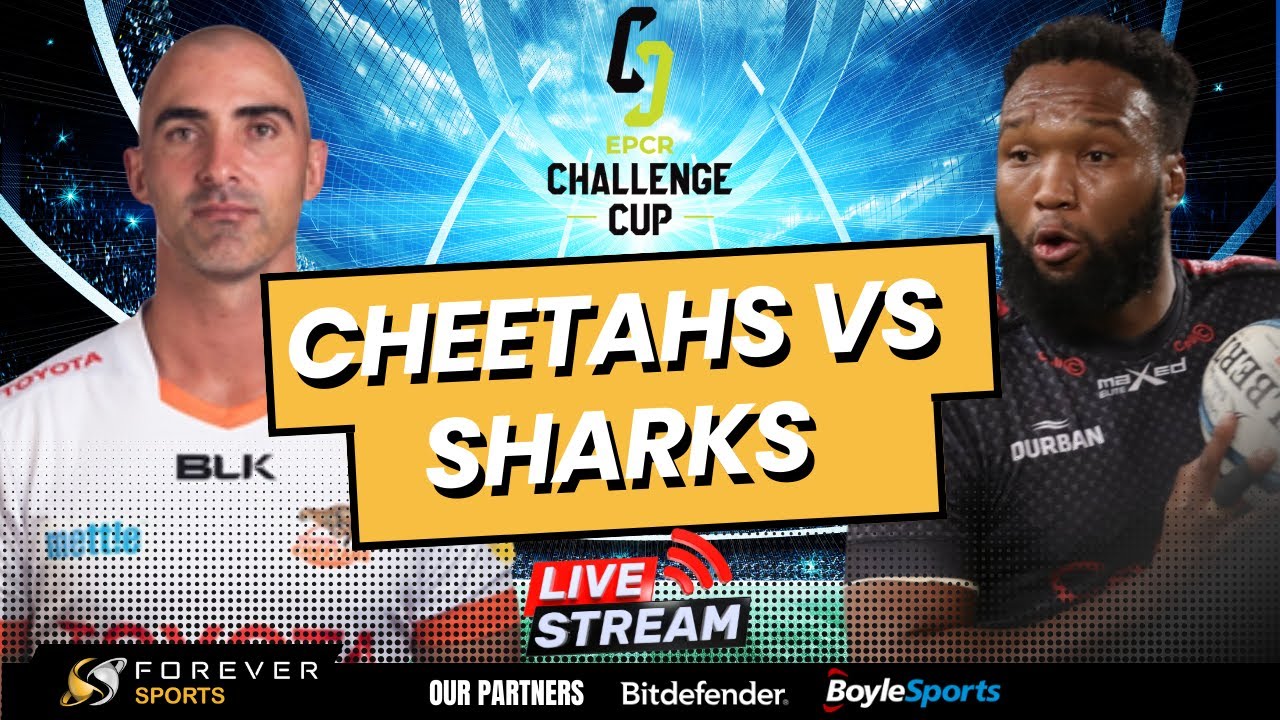 CHEETAHS VS SHARKS LIVE!  Challenge Cup Live Commentary