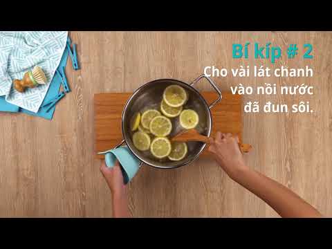 Cách Tẩy Trắng Quần Áo Bị Dính Màu - Cách tẩy trắng quần áo bị ố vàng, cách giặt áo trắng sáng rạng ngời | Cleanipedia