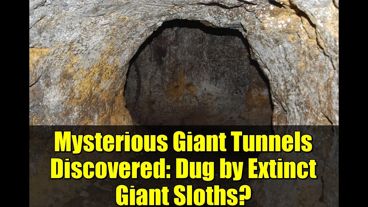 Mysterious Giant Tunnels Discovered: Dug by Extinct Giant Sloths? | Ancient Megafauna Secrets