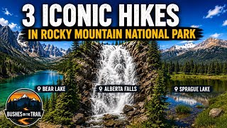 Bear Lake, Alberta Falls, Sprague Lake | 3 Easy Rocky Mountain National Park Hikes