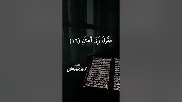 سورة الفجر ،تلاوة رائعة خاشعة #القارئ حمادة جودة هلال