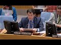 Chargé d'Affaires Dmitry Polyanskiy at UNSC open debate on the situation in the Middle East