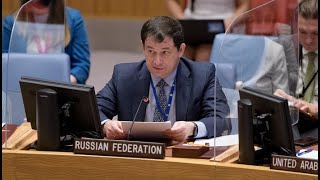 Chargé d&#39;Affaires Dmitry Polyanskiy at UNSC open debate on the situation in the Middle East