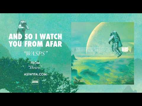 And So I Watch You From Afar - "Wasps" (Official)