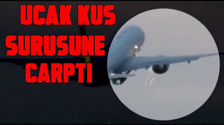 BOSTONDAKİ UÇAK KUŞ SÜRÜSÜNE ÇARPTI (ÖZEL HABER)
