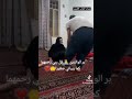 وقل ربي ارحمهما كما ربياني صغيرا خالد الجليل القران  جنة القران الكريم