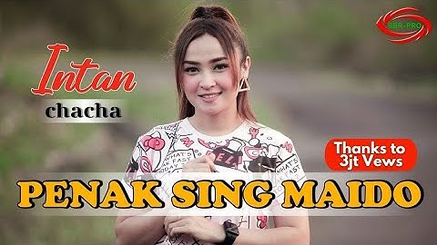 PENAK SING MAIDO ( DJ SANTUY ) - INTAN CHACHA [ FULL HD ]