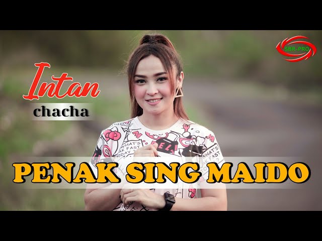 PENAK SING MAIDO ( DJ SANTUY ) - INTAN CHACHA [ FULL HD ] class=