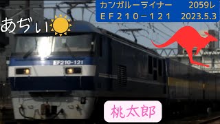 【カンガルーライナー】南からの強い日差し 2059レ EF210-121 20230503