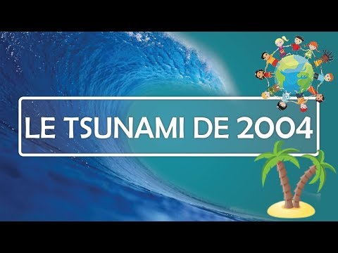 Vidéo: Un Survivant Parle: Neuf Ans Après Le Tsunami Qui A Frappé L'océan Indien Au Sri Lanka - Matador Network