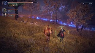 Executor Carries against Everdark Balancers with ease #nightreign #eldenring 