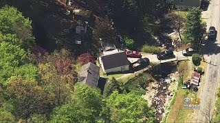 Man Struck And Killed By Falling Tree In Port Deposit, Sheriff's Office Says