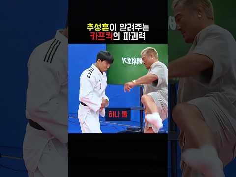추성훈이 알려주는 카프킥의 파괴력