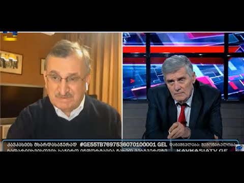 თავად რუსეთის აგენტები ღებულობენ ამ კანონს. აგენტები, შპიონები და ტურები არიან - რომან გოცირიძე