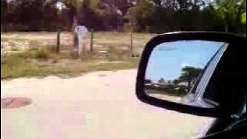 12vdb.com - car audio database: JL Audio 13w7.9