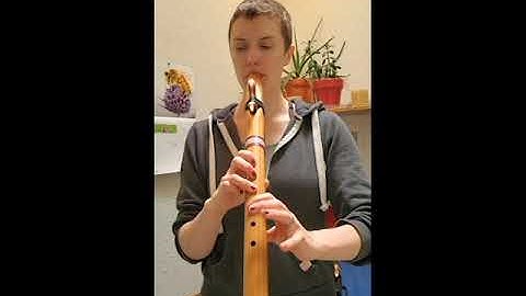 Native American Style Flute | Key of E | #3744 Western Red Cedar