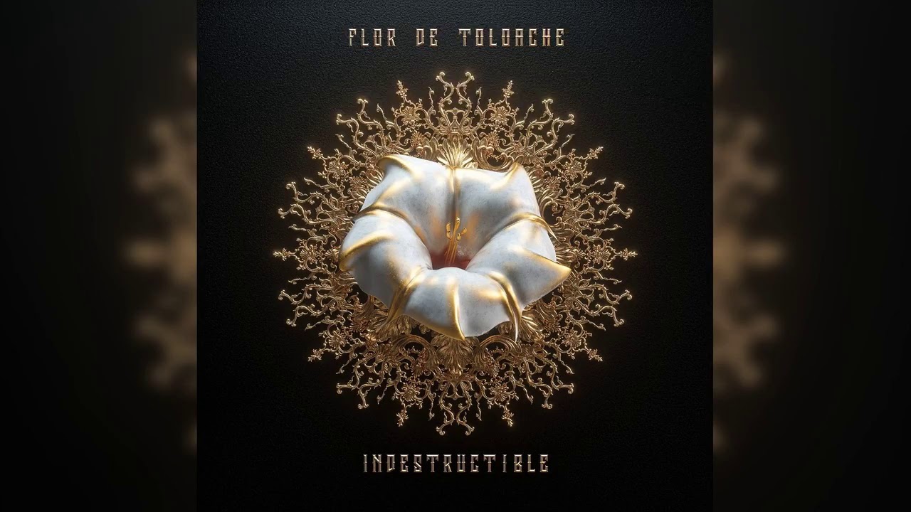 Guarda 13. Flor de Toloache - Indestructible (Audio Oficial) su YouTube Guarda 13. Flor de Toloache - Indestructible (Audio Oficial) su YouTube